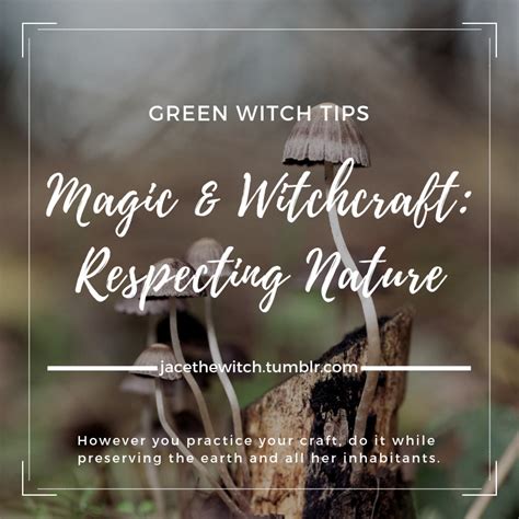 Elemental Magic: Working with Earth, Air, Fire, and Water in Witchcraft